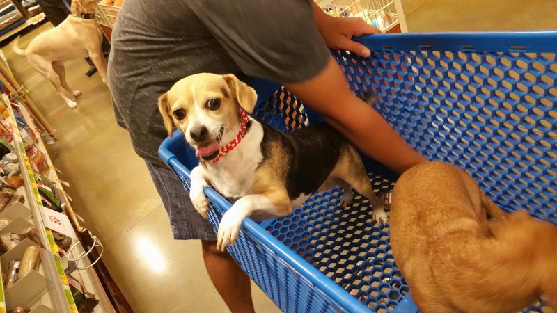 Đang chờ đợi để anh lựa cho em sợi dây đeo cổ đẹp nhé