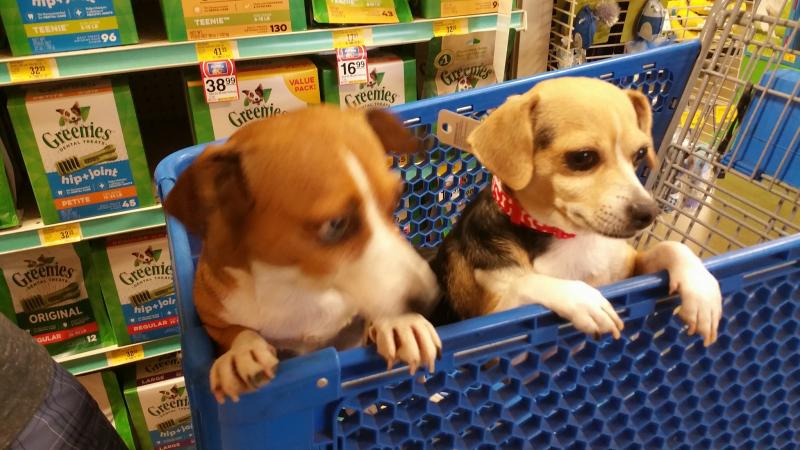 Cái đó đẹp kìa anh tư !!!