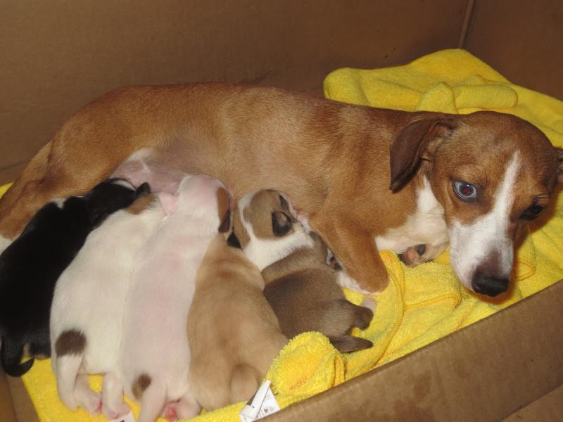 Lần đầu tiên cả 5 đứa nằm đúng theo thứ tự sinh ra từ phải qua trái.